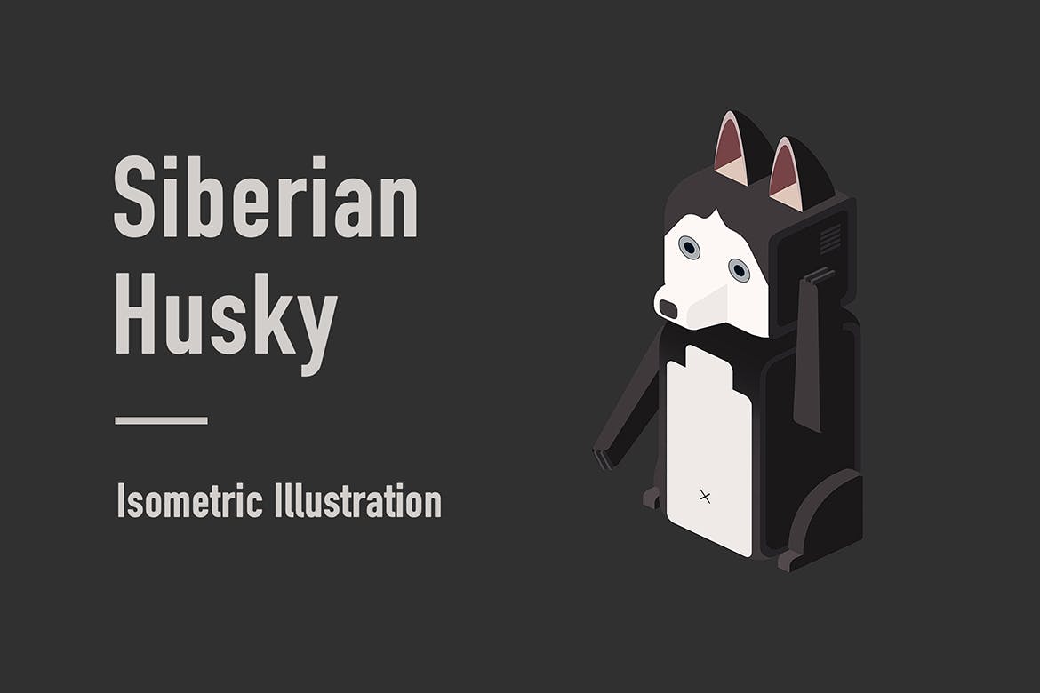 西伯利亚雪橇犬等距矢量图形 Siberian Husky Isometric Illustration插图(1)