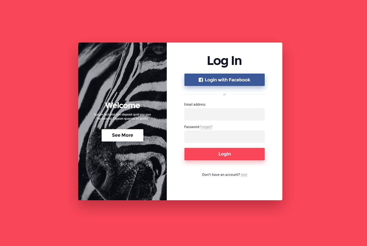 网站登录注册窗口表单设计16设计网精选模板 “Zebra” Login & Registration Form插图(1)