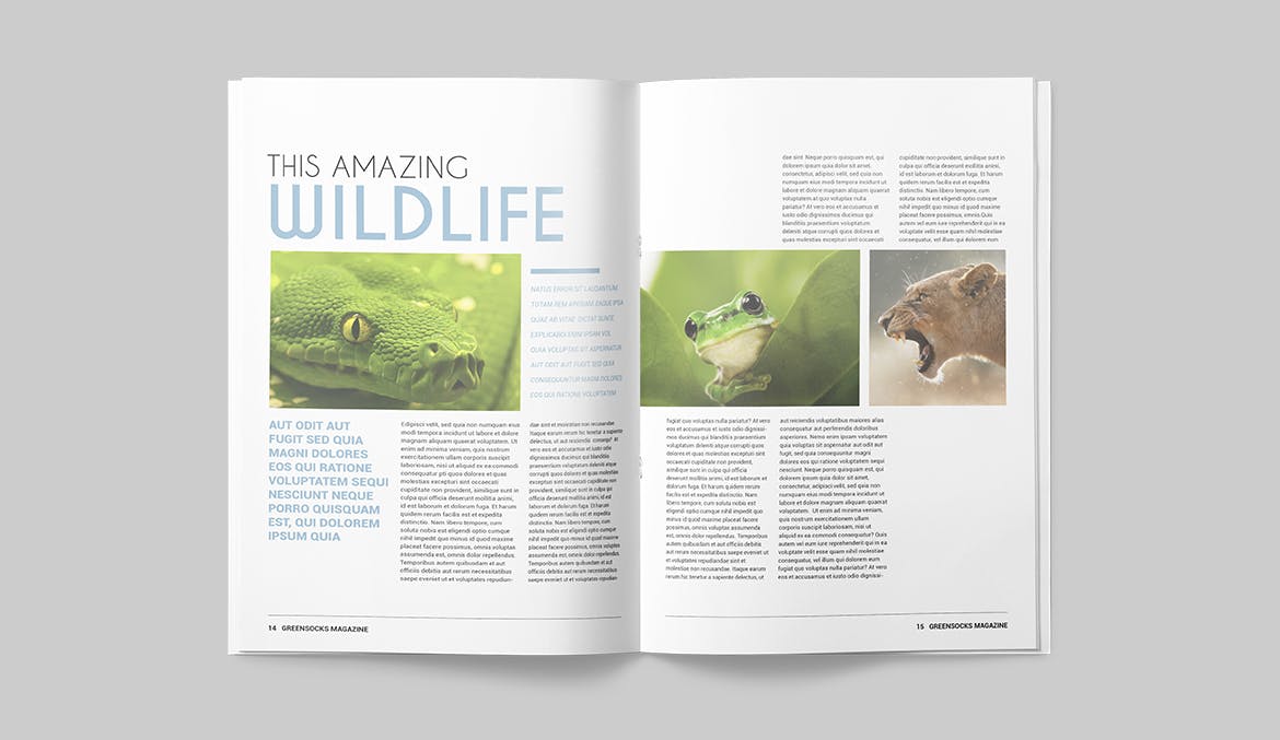 农业/自然/科学主题16设计网精选杂志排版设计模板 Magazine Template插图(7)