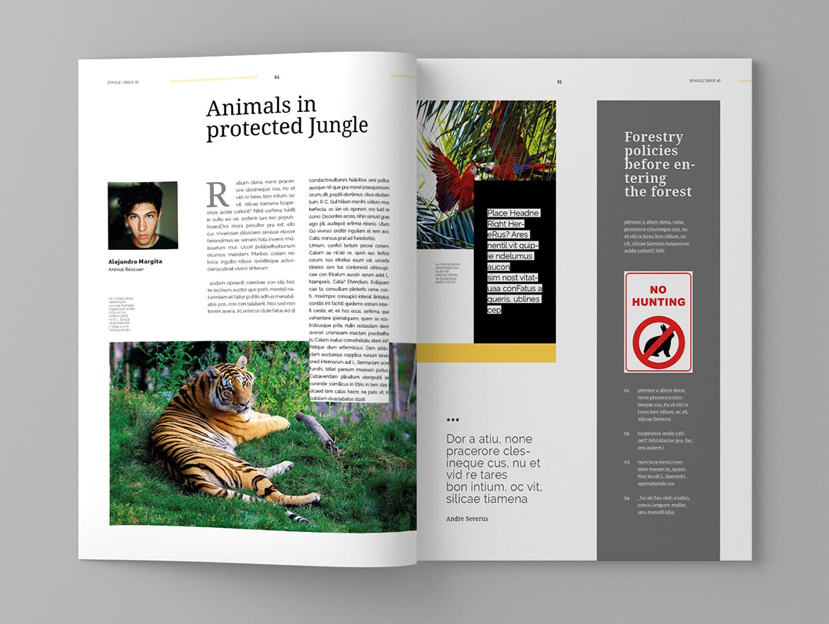 旅游行业素材库精选杂志版式设计模板 Jungle – Magazine Template插图(8)