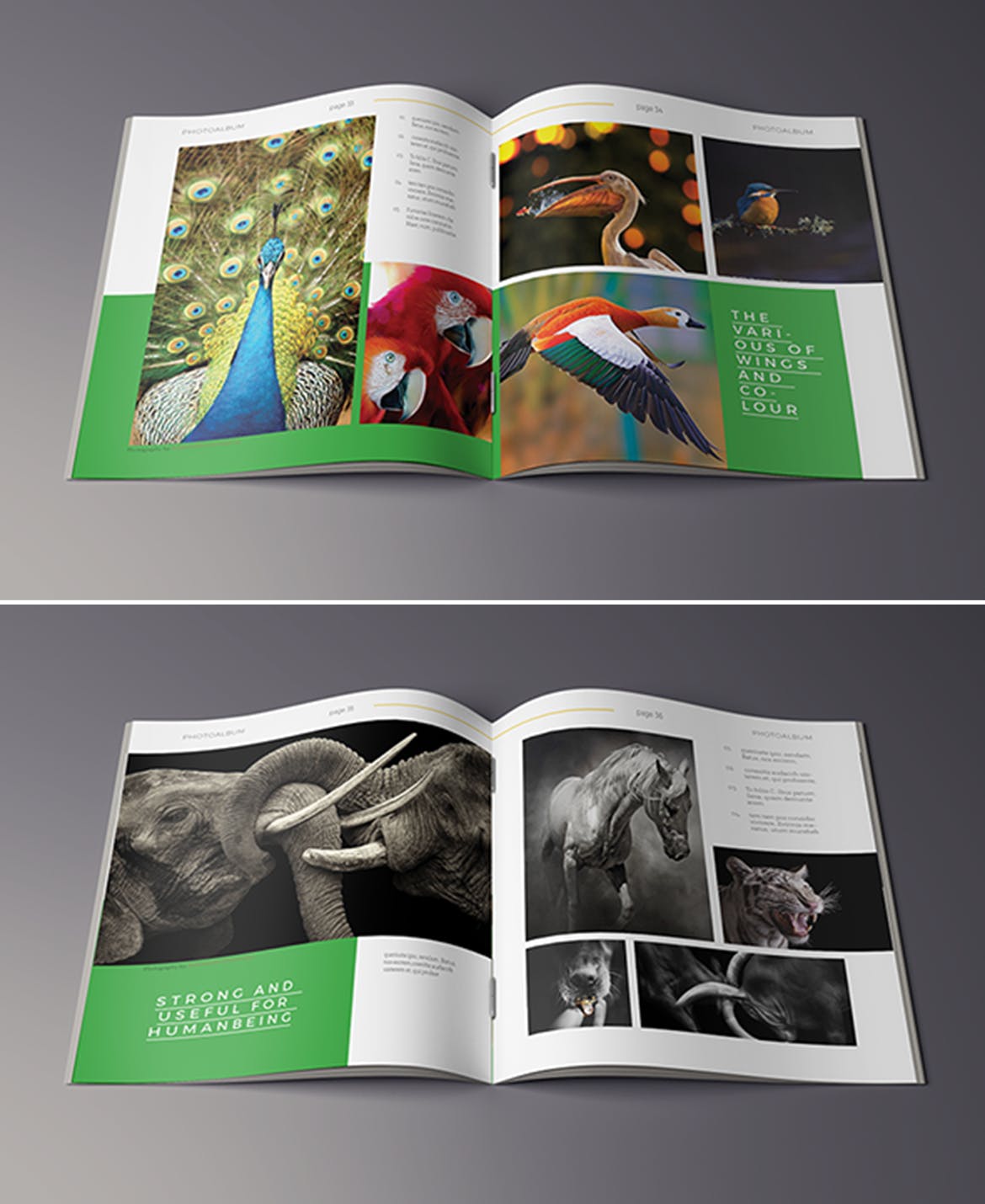 高端摄影作品集画册设计模板 Photography Album插图(10)