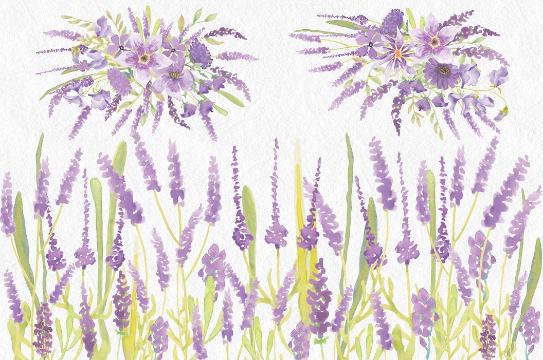 薰衣草绽放水彩剪贴画素材库精选PNG素材 Lavender Blooms: Watercolor Clip Art Bundle插图(2)