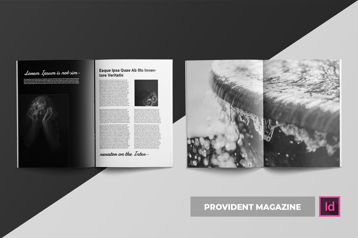 高端摄影主题A4非凡图库精选杂志版式设计INDD模板 Provident | Magazine Template插图(2)