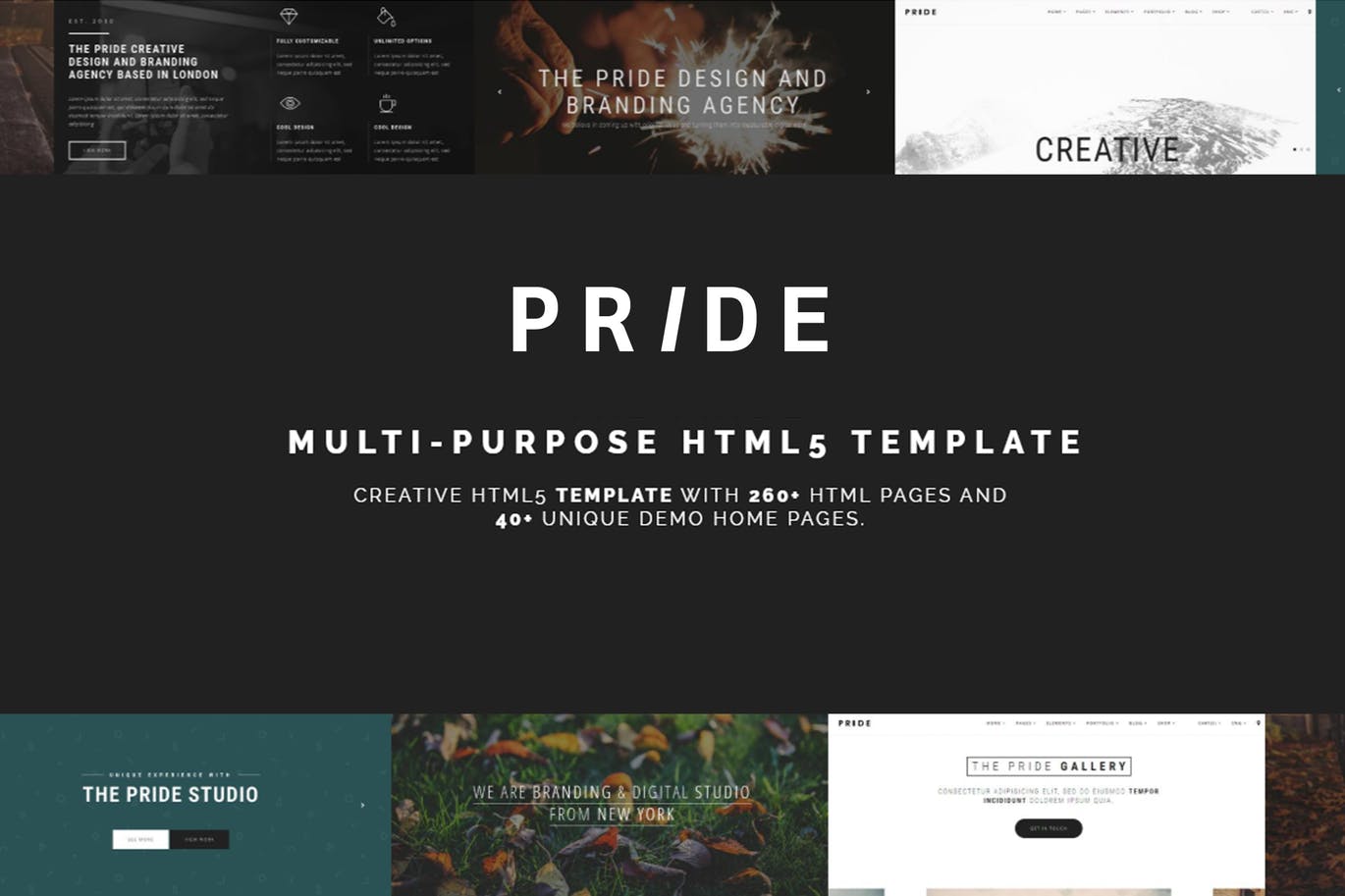 现代设计风格高度可定制响应式HTML5网站模板非凡图库精选 Pride – Multipurpose HTML5 Theme插图