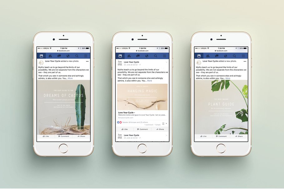 简约现代风格 Facebook 贴图模板素材库精选 NATURALIS Facebook Pack插图(4)