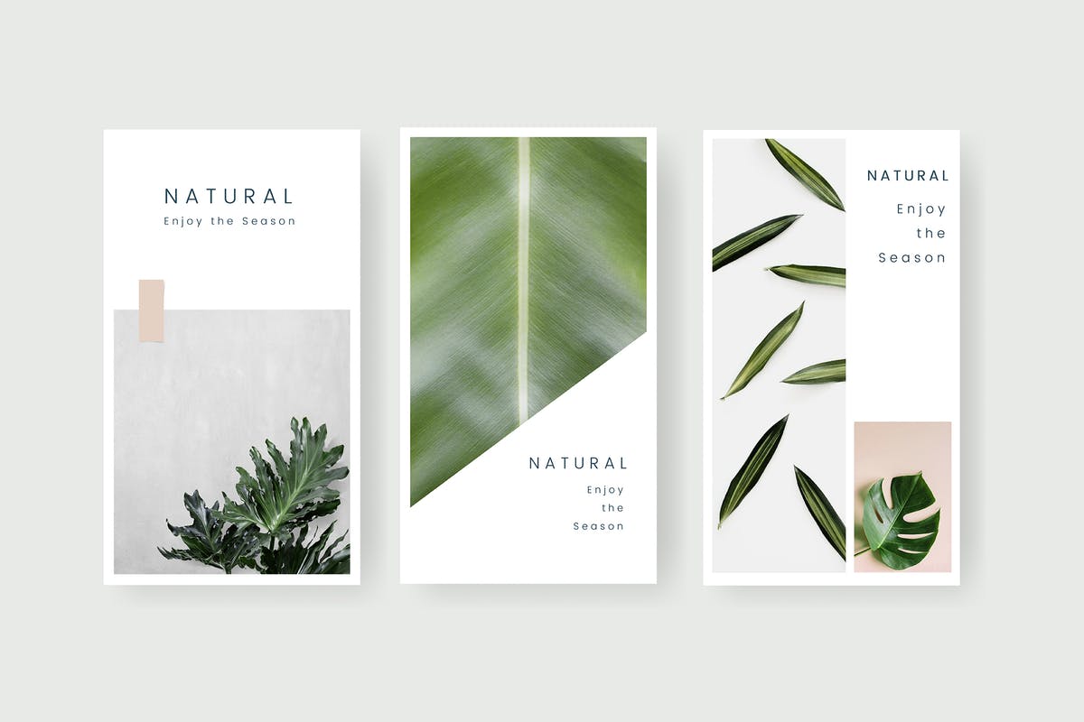 大自然主题社交媒体新媒体品牌宣传设计模板素材库精选 Natural social media template插图