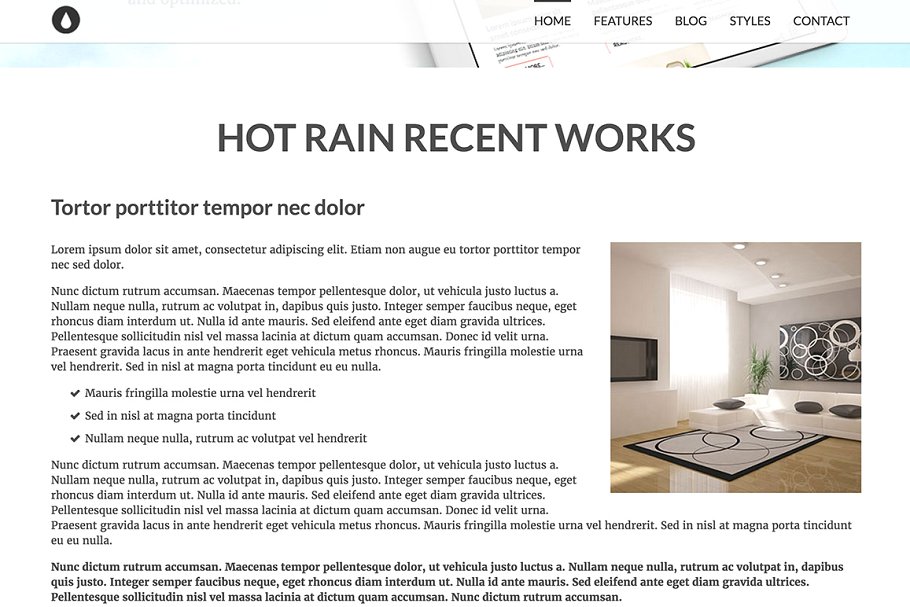 经典简约型自适应Joomla网站模板16设计网精选 Hot Rain插图(7)