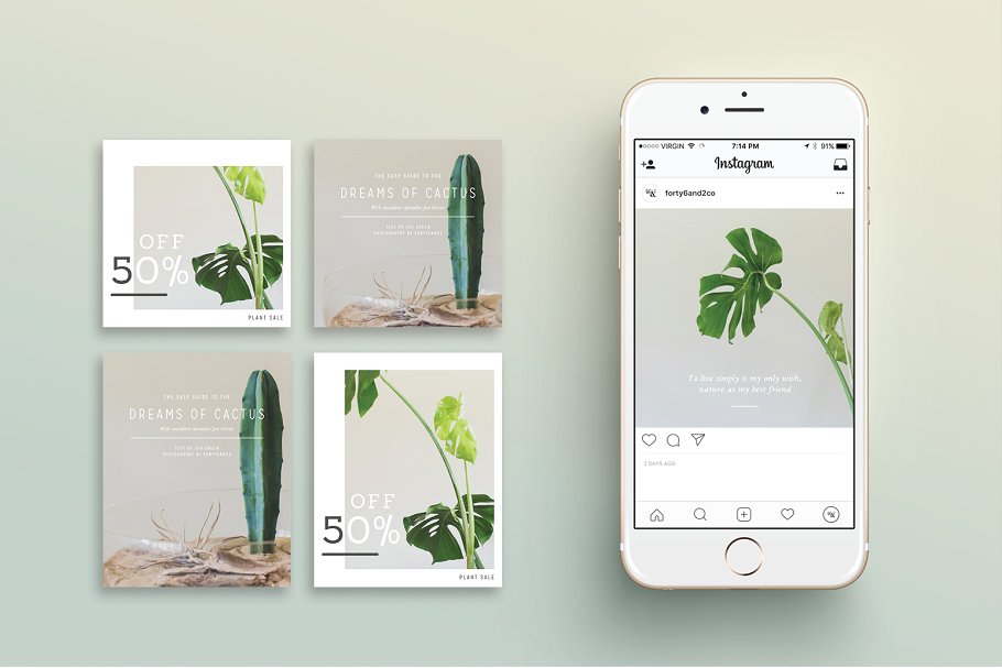 植物盆栽主题社交媒体贴图模板素材库精选[Instagram版本] NATURALIS Instagram Pack插图(1)