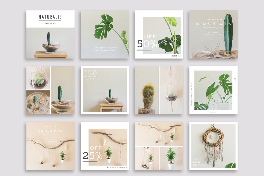 植物盆栽主题社交媒体贴图模板16设计网精选[Pinterest版本] NATURALIS Pinterest Pack插图(2)