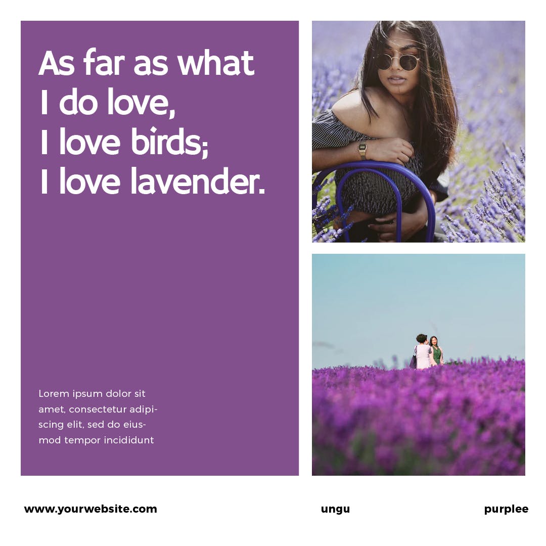 薰衣草配色社交媒体广告Banner图设计模板16图库精选 Lavender Social Media Banners插图(8)