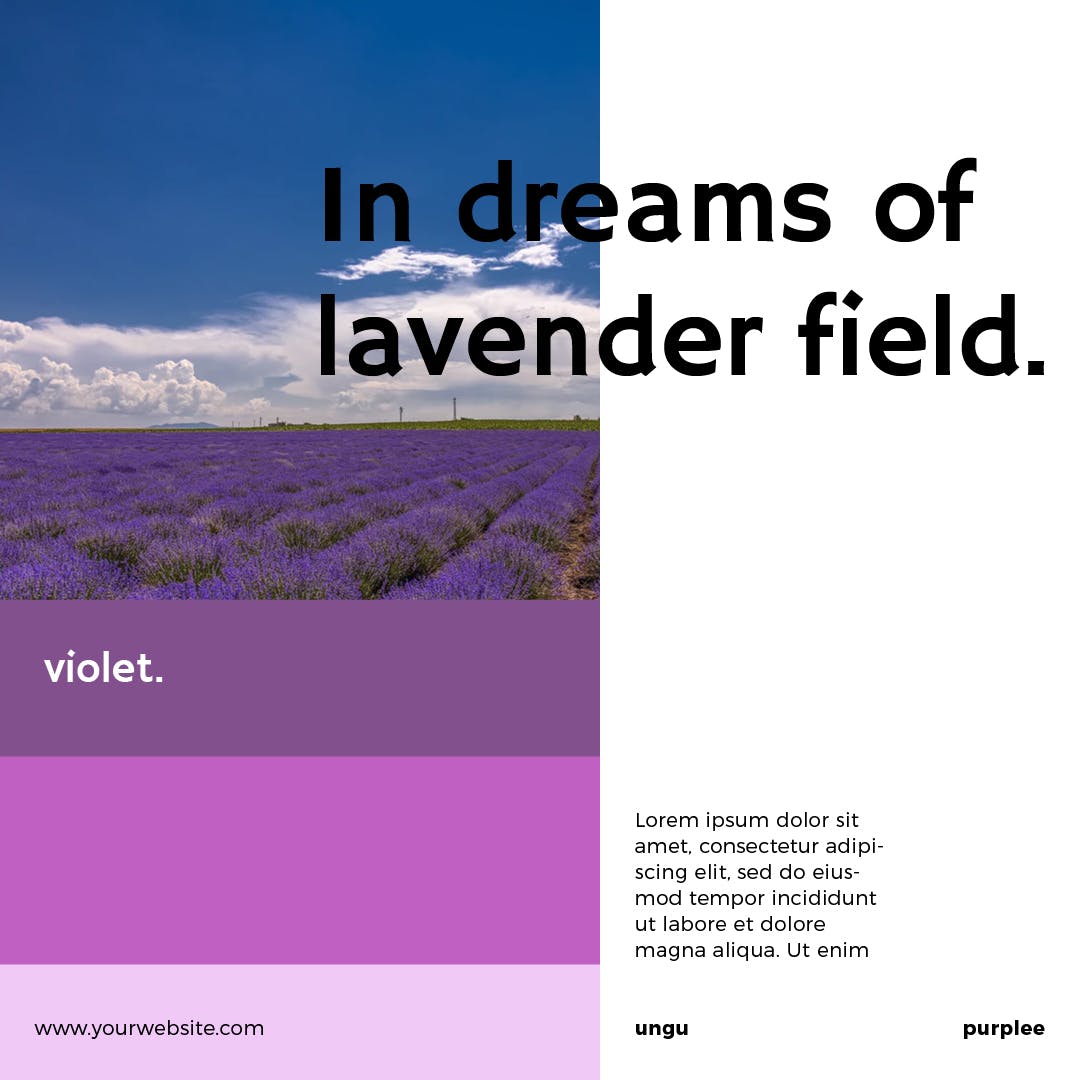 薰衣草配色社交媒体广告Banner图设计模板16设计网精选 Lavender Social Media Banners插图(2)