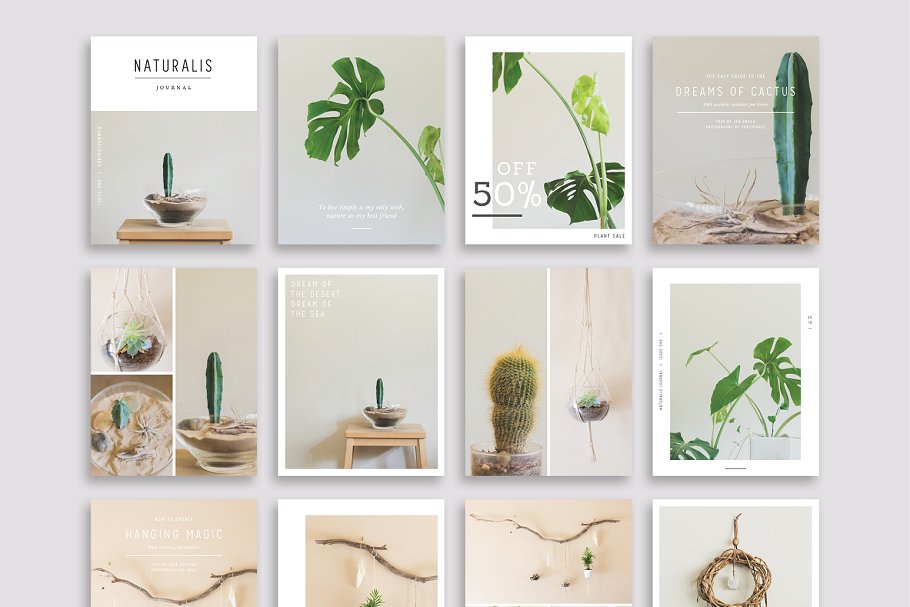 植物盆栽主题社交媒体贴图模板非凡图库精选[Instagram版本] NATURALIS Instagram Pack插图(3)