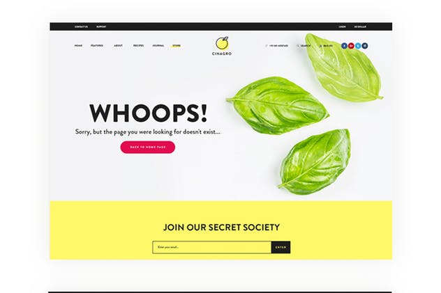 天然有机食物电商网站HTML网站模板素材库精选 Cinagro – Organic Food Shop HTML Template插图(1)