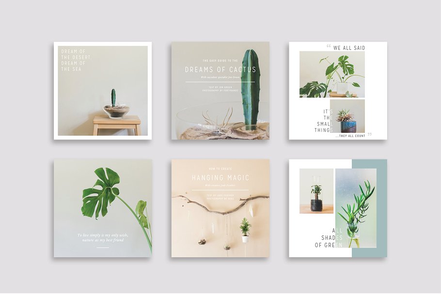 植物盆栽主题社交媒体贴图模板16图库精选[Instagram版本] NATURALIS Instagram Pack插图(5)