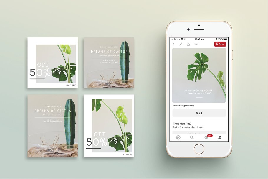 植物盆栽主题社交媒体贴图模板16设计网精选[Pinterest版本] NATURALIS Pinterest Pack插图(1)