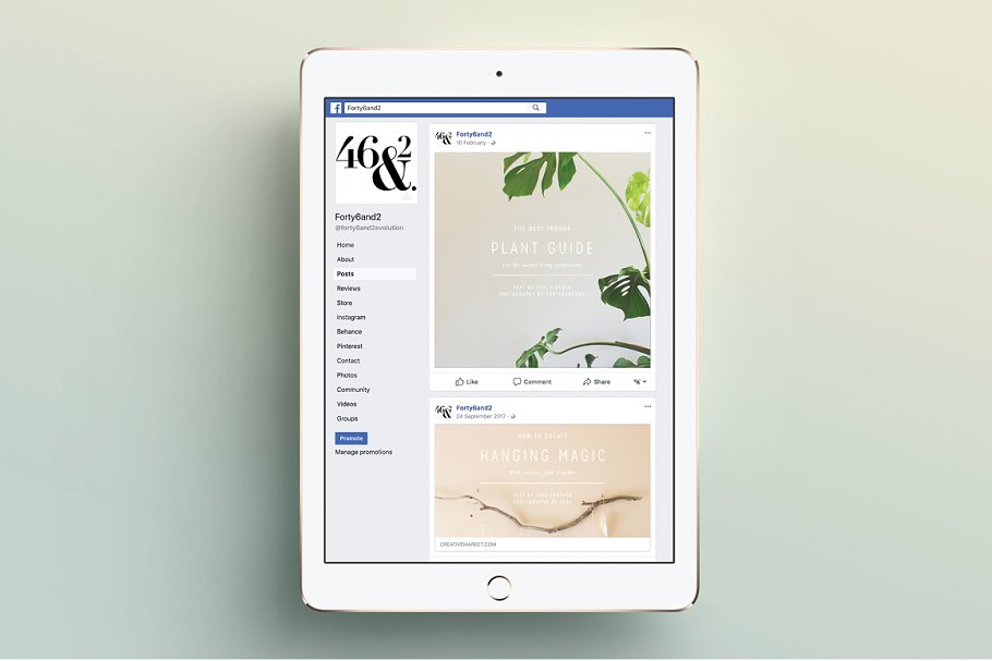 简约现代风格 Facebook 贴图模板16设计网精选 NATURALIS Facebook Pack插图(7)