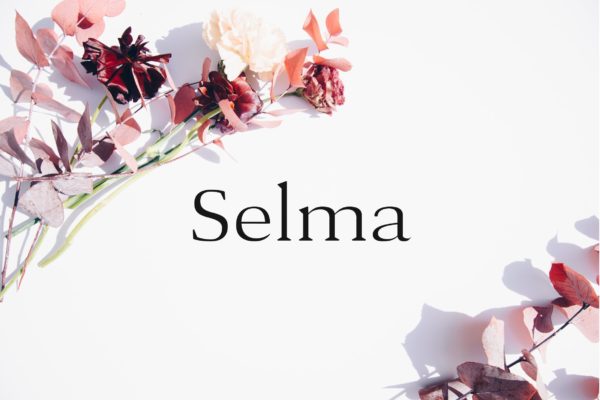 现代优雅英文衬线字体下载 Selma &#8211; A Classy Serif Typeface