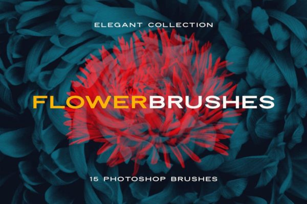 15款优雅花卉图案PS笔刷 Elegant Flower Brushes for Photoshop