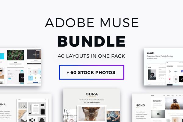 40+超级网站模板[for Adobe Muse] 