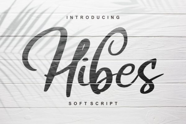 软笔刷书法风格英文手写字体16设计素材网精选 Hibes | Soft Script Font