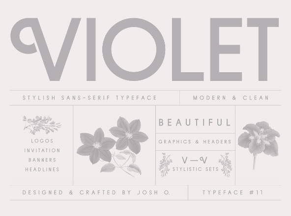 现代优雅品牌设计英文无衬线字体 Violet Font
