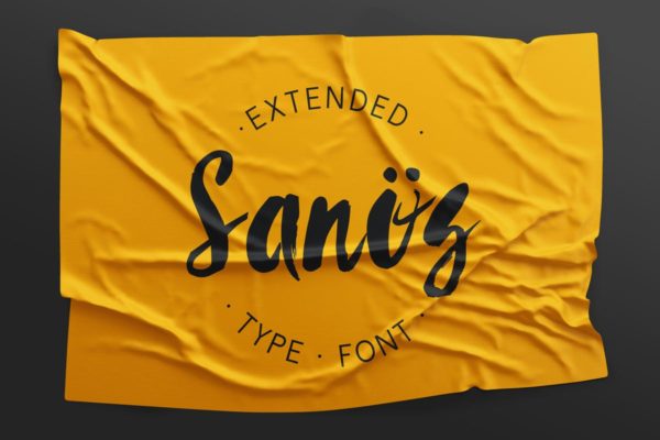 时尚/美容/食品/服装和杂志设计绝配手写英文字体 Sanös Extended Script Font