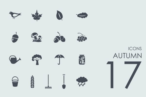 17个秋季主题元素icon图标 17 Autumn icons