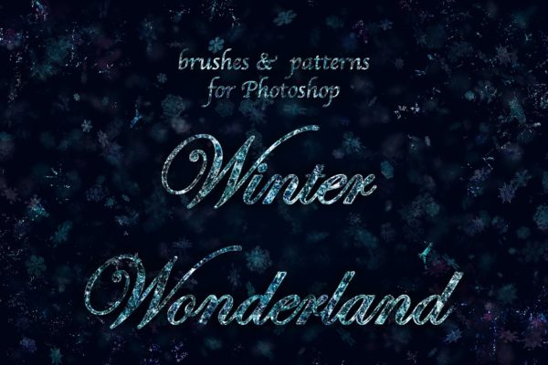 冰雪奇缘冬天主题纹理&amp;笔刷合集[雪花、冰花&amp;闪光] Winter Wonderland for Photoshop