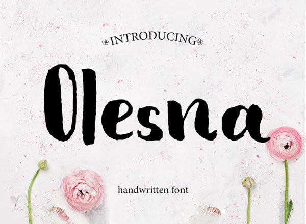 一款优雅的手写无衬线字体：Olesna