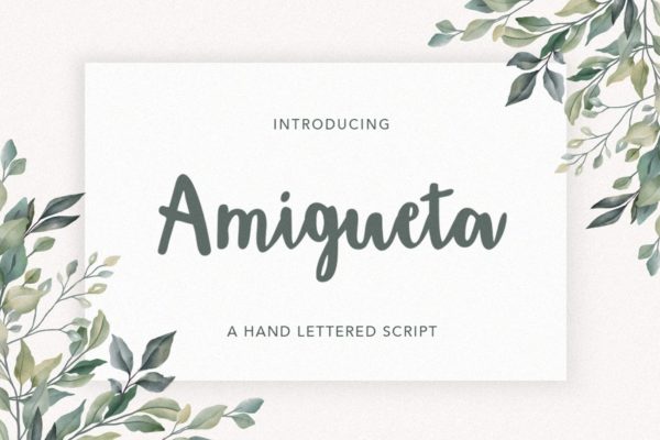 平面设计英文标题草书字体下载 Amigueta Script