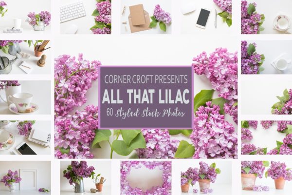 紫丁香花装饰场景背景照片 Lilac Styled Stock Photo Bundle