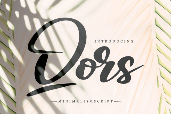 极简主义排版设计风格英文书法字体聚图网精选 Qors | Minimalism Script Font