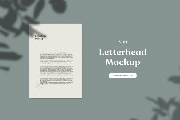 企业信纸信头设计展示植物阴影背景样机v01 ADL &#8211; Letterhead Mockup.v01