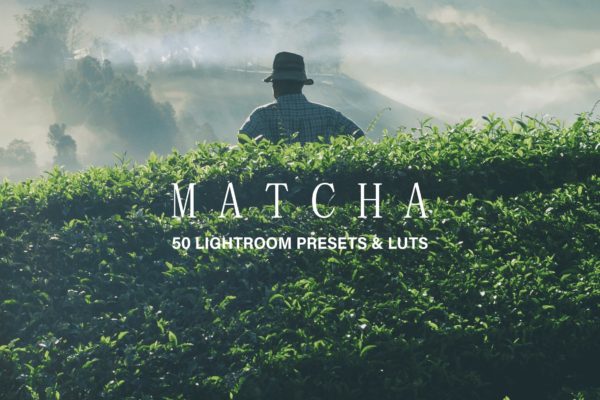 50款绿色背景摄影后期调色处理素材天下精选LR预设 50 Matcha Lightroom Presets and LUTs