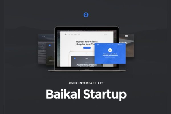 产品官网设计UI套件 Baikal Startup