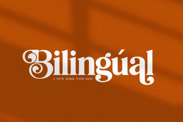 创意英文衬线字体素材天下精选二重奏 Bilingual Serif Font Duo