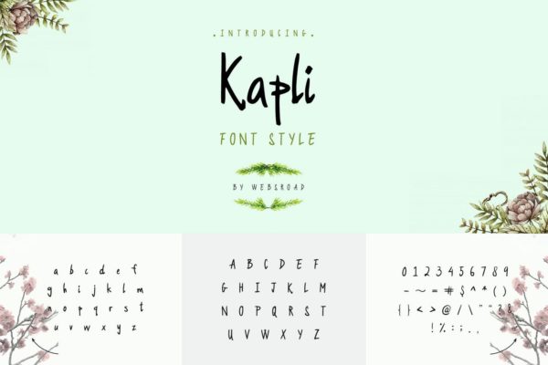 现代柔和英文手写字体下载 Kapli &#8211; Custom Handmade Font Style