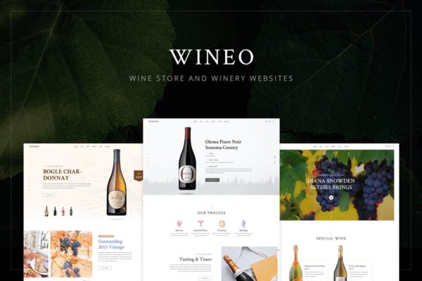 葡萄酒/洋酒酒类网上商城设计PSD模板 Wineo &#8211; Wine Store PSD Template