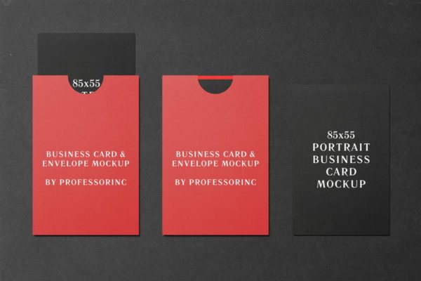 商业品牌卡片/贺卡样机模板 85&#215;55 Portrait Business Card Mockup