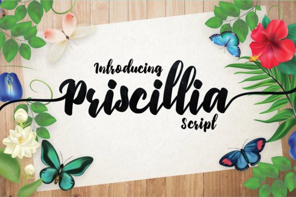 可爱毛笔手绘英文笔刷艺术字体下载 Priscillia Script