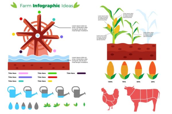 农场可视化数据信息图表设计素材 Farm &#8211; Infographic