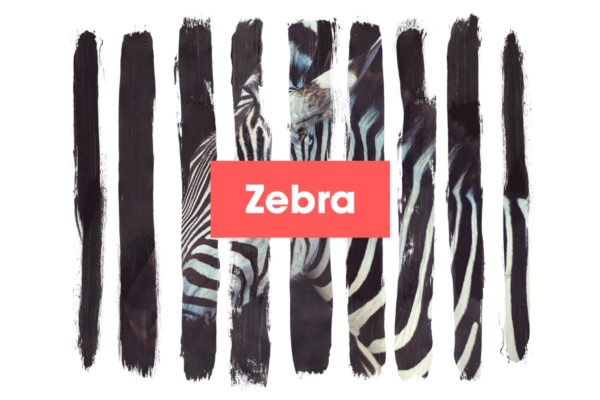 水墨斑马条纹遮罩效果PSD分层模板 Zebra