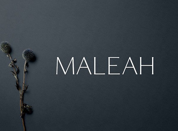 一款优雅的现代无衬线字体 Maleah 