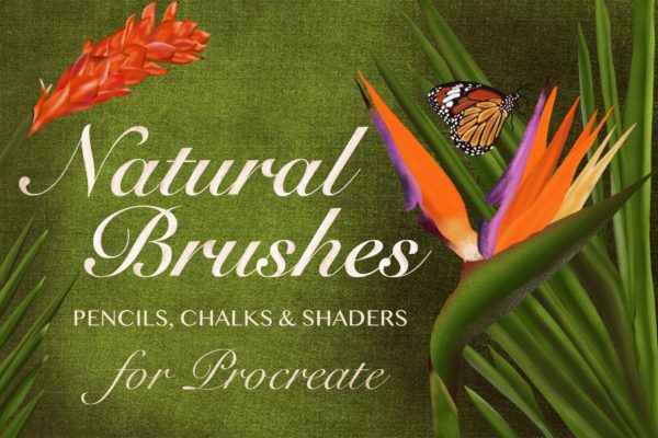 20种超级多功能Procreate笔刷合集[铅笔/粉笔/着色器] Natural Brushes for Procreate