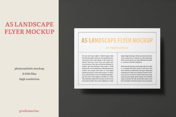 A5尺寸大小烫金设计风格宣传单效果图样机16图库精选模板 A5 Landscape Flyer Mockup — Foil Stamping Edition