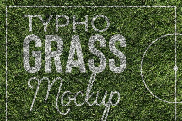 草坪草地质感纸张样机模板 Grass Mockup