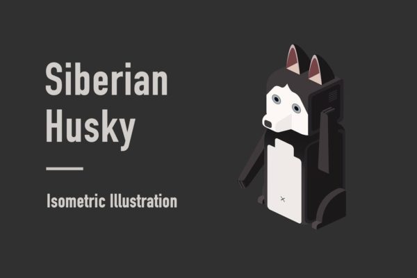 西伯利亚雪橇犬等距矢量图形 Siberian Husky Isometric Illustration