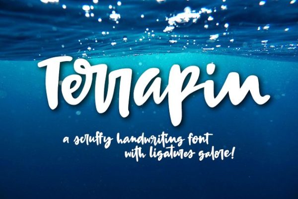 生动有趣的手写英文粗体手写字体 Terrapin: a bold handwriting script