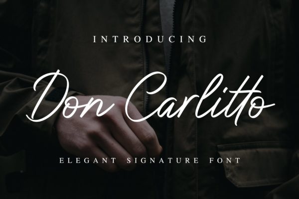 优雅钢笔签名书法字体下载 Don Carlitto &#8211; Elegant Signature Font