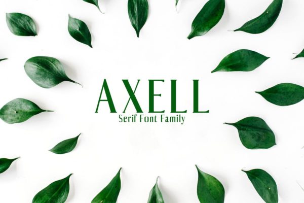 平面设计排版英文衬线字体套装 Axell Serif Font Family